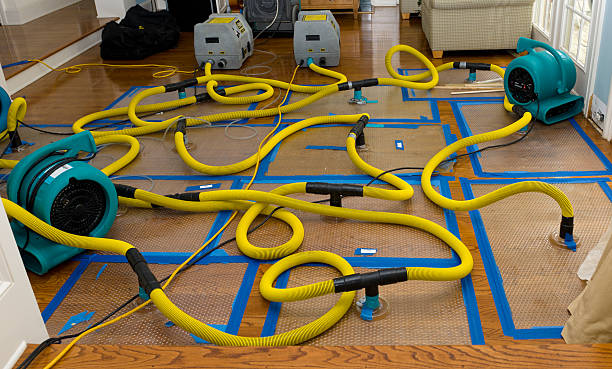 Professional Sewage Cleanup technician working in Medford, NJ